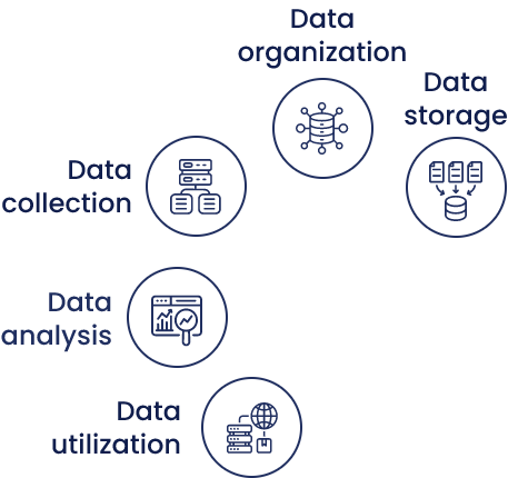 Data engineering workflow showing collection, storage, analysis, and utilization powered by Alphavima's solutions.