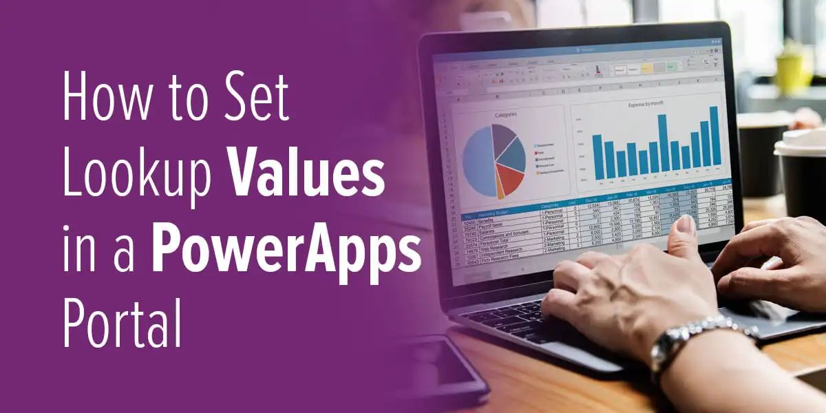 PowerApps Portal - How to Set Lookup Values